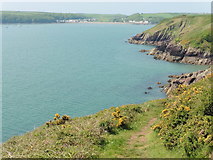 SM8306 : The Pembrokeshire Coast Path near Monk Haven by Dave Kelly