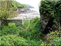 SM8105 : The Pembrokeshire Coast Path near Castlebeach Bay by Dave Kelly