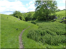 SK1765 : The Limestone Way approaching Cales Dale by Chris Gunns