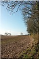 Field, Trenowth