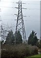 Pylon by Driffield Rd