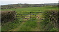 Six-bar gate at a field entrance, Willersey