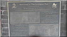 SJ4692 : Memorial plaque to The Liverpool Pals by John Kelly