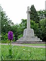 NZ1366 : Orchid & War Memorial, Heddon on the Wall by Andrew Curtis