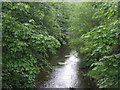 The Little Eachaig River