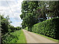 Road to Lower Farm, Halse