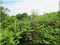 Kissing gate hidden in the ferns, Rachub