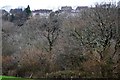 Tamerton Foliat through trees