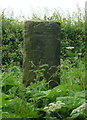 Back of milestone, Milner Lane, Scarcroft