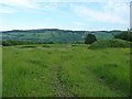 Field near Coed-Wgan-fach