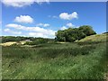 View of Brockham End