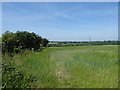 View from Hall Lane and the London LOOP