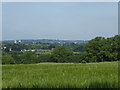 View from Hall Lane and the London LOOP