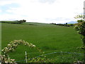 Drumlin land on the south side of Dolmen Road