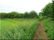 SE3842 : Bridleway at a field boundary, Bardsey by Humphrey Bolton