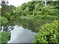 Quarry Bank Mill millpond