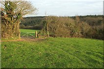 SW9969 : Gate between fields, Burlawn by Derek Harper