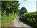 Lane towards Bakers Hall