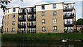 Swan and new apartments