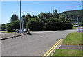 Trees on an A4119 roundabout, Llantrisant