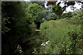 River Lea close to its source at Leagrave