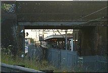TQ8385 : View of Leigh on Sea station from the road behind the cockle sheds by Robert Lamb