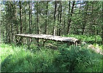 NO2406 : Strange wooden structure, Lomond Hills by Bill Kasman