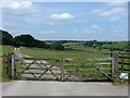 Lane to Wyver Farm