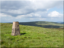 NY7333 : Trig point on grassy moorland at Hard Hill by Trevor Littlewood