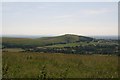 ST8920 : Towards Melbury Hill across the downs from Breeze Hill by Chris