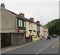 Springfield Terrace, Hollybush