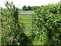 Gate on footpath