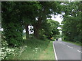 A1065 towards Swaffham