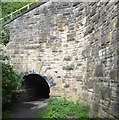 Miniature tunnel in Lower Soothill #3