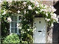 Roses round the door, Rye