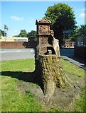 SJ7788 : Tree sculpture, Green Gateway, Altrincham by Richard Sutcliffe