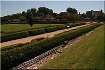 SU8304 : Clipped box hedge in the Roman Palace garden, Fishbourne by Chris