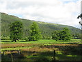 Strath Eachain from Benmore House