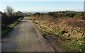 Lane to Churchtown