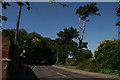 Delling Lane by Borsham Post Office