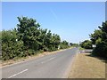 Highstreet Road, near Waterham