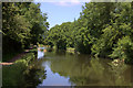 A peaceful section of the Grand Union canal at Boxmoor