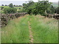 Enclosed Footpath to the east of Tewitt House