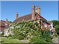 Roses on a house in Winchelsea