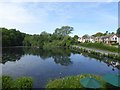 The mill pond at Bourne Mill