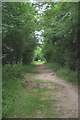 Path Near Cornmill Meadows