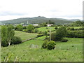 11kW powerlines crossing grazing land south of Bannanstown Road