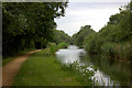 Slough arm west of Middlegreen Road Bridge