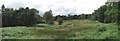 Lingwood Common Panorama