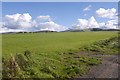 Northern side of the Ochils